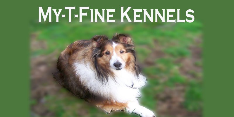 My-T-Fine Kennels Logo